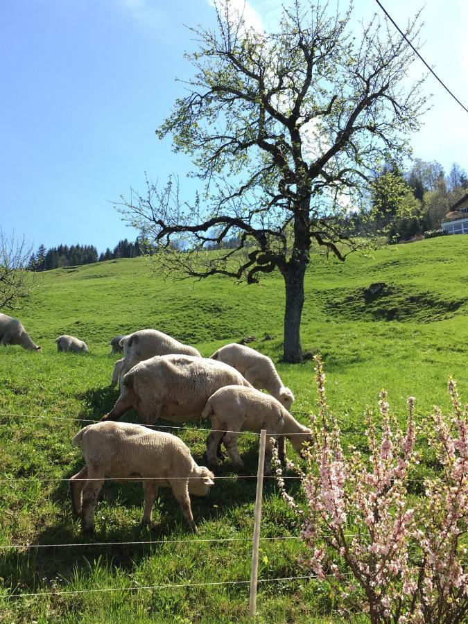 Ferienwohnung Mountain Peace In The Heart Of Switzerland Emmetten Exterior foto