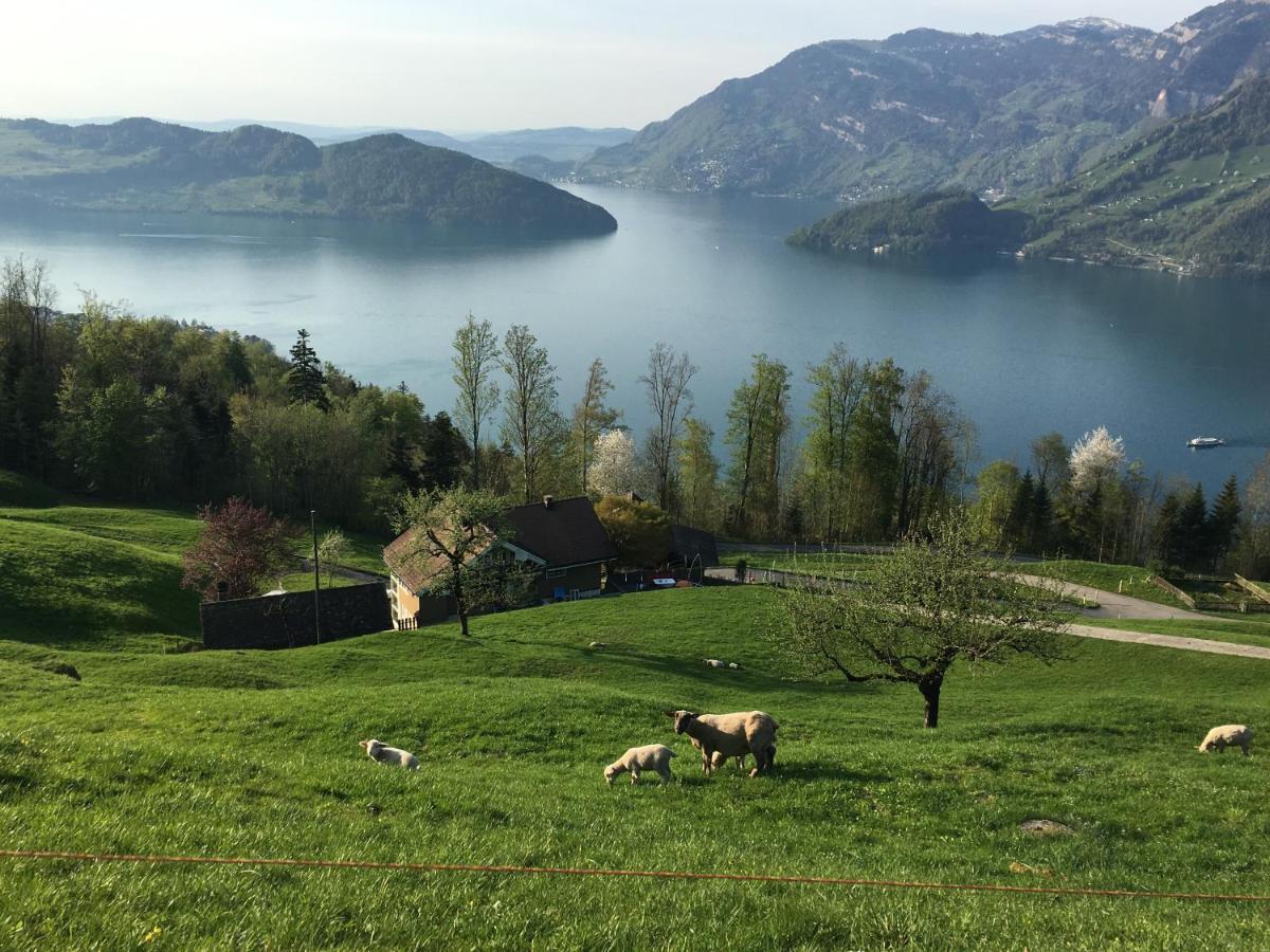 Ferienwohnung Mountain Peace In The Heart Of Switzerland Emmetten Exterior foto